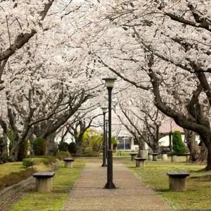 Meet your Posher, Jaime